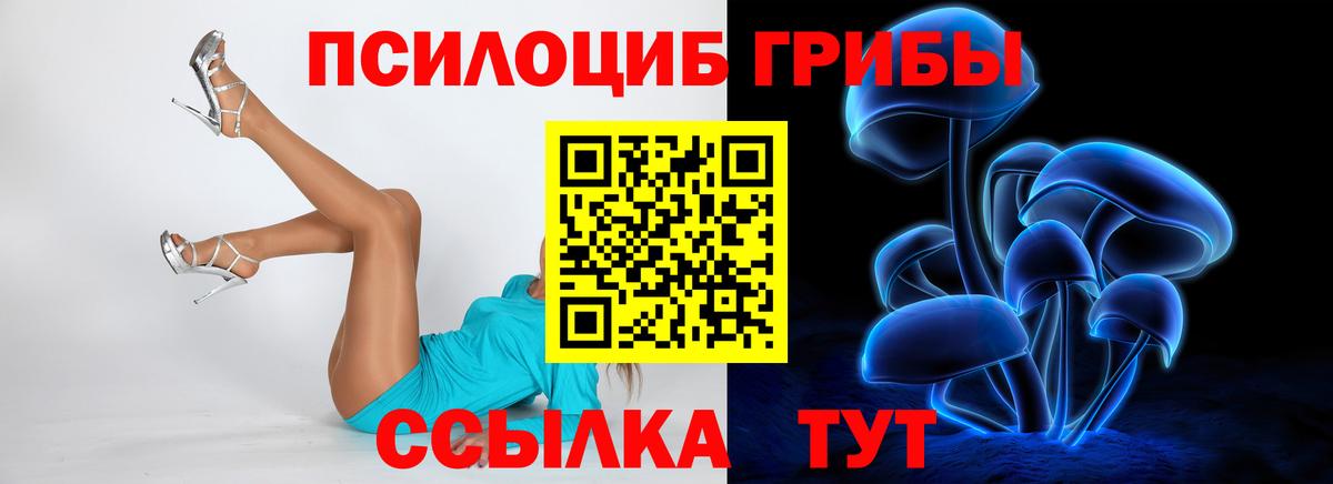 Добрянка  Галлюциногенные грибы прущие грибы  Вход с VPN 